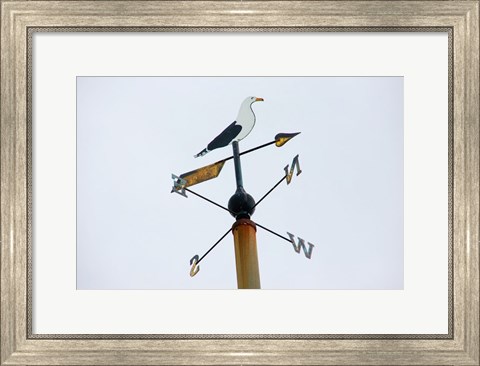 Framed Seagull Weathervane Print