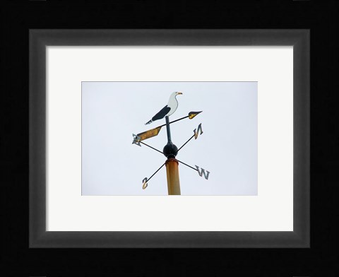 Framed Seagull Weathervane Print
