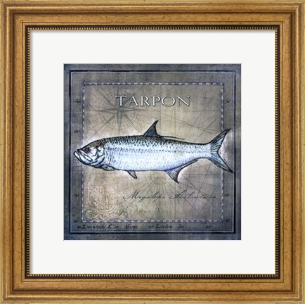 Framed Ocean Fish X Print