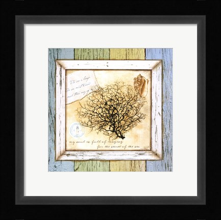 Framed Sea Treasures II Print