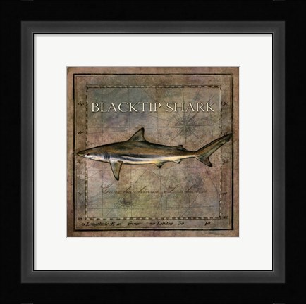 Framed Ocean Fish VI Print