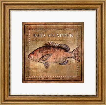 Framed Ocean Fish VII Print