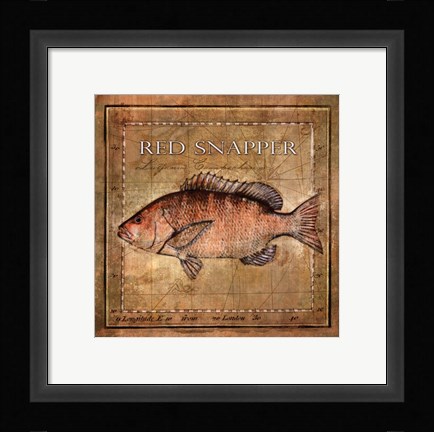 Framed Ocean Fish VII Print