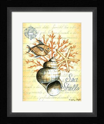 Framed Under the Sea IV Print