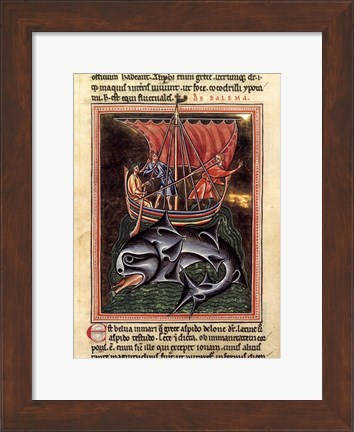 Framed 12th Century Painters - On Whales Folio from a Bestiary Print