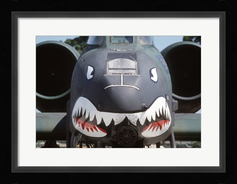 Framed Flying Tigers II Print