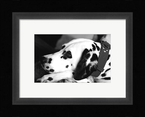 Framed Dog Tired Print