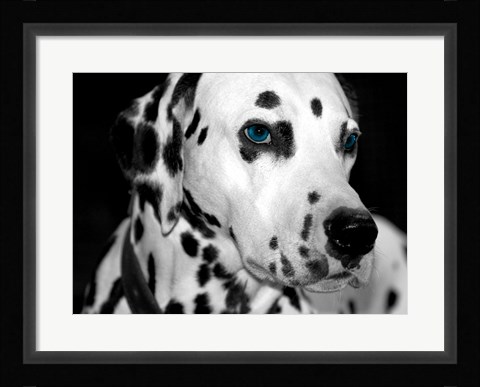 Framed Old Blue Eyes Print