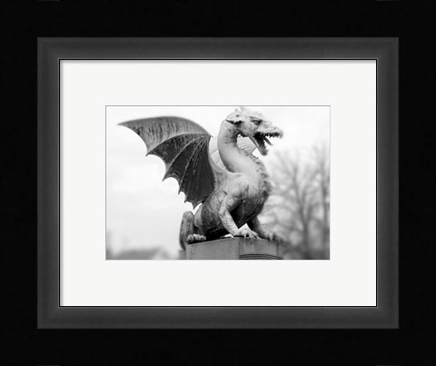 Framed Dragon Statue Print