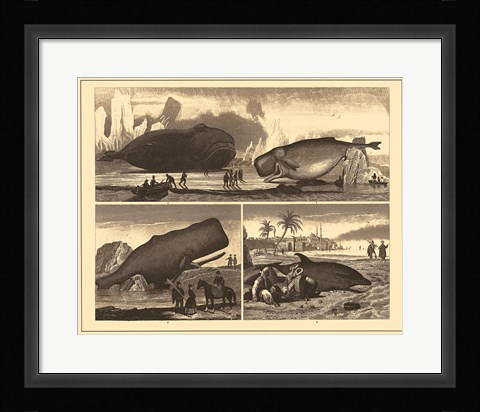 Framed Brockhaus and Efron Encyclopedic Dictionary 126 Print