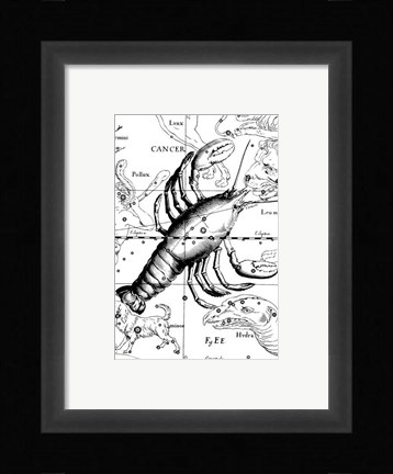Framed Cancer Hevelius Print