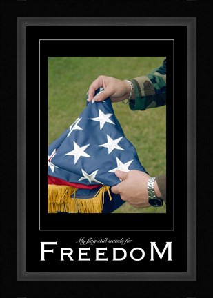 Framed Freedom Affirmation Poster, USAF Print