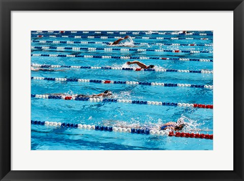 Framed High angle view of people swimming in a swimming pool, International Swimming Hall of Fame, Fort Lauderdale, Florida, USA Print