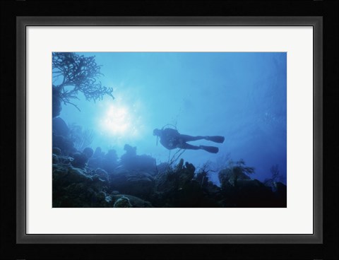 Framed Low angle view of a scuba diver swimming underwater, Belize Print