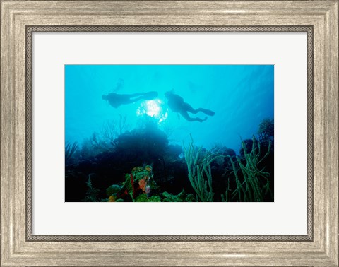 Framed Low angle view of two scuba divers swimming underwater, Belize Print