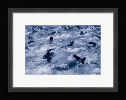 Framed US Navy Swimming Race Print