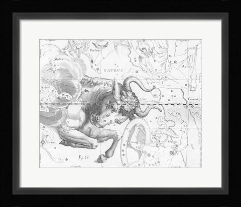 Framed Taurus by Johannes Hevelius Print