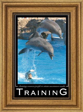 Framed Training Affirmation Poster, USAF Print
