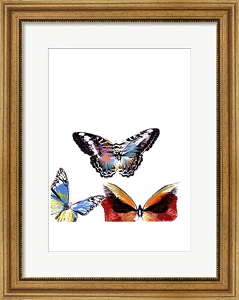 Framed Butterflies Dance II Print