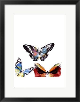 Framed Butterflies Dance II Print