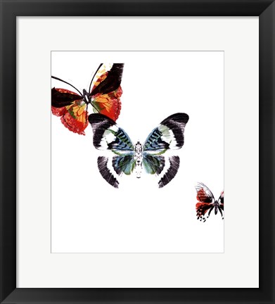 Framed Butterflies Dance III Print