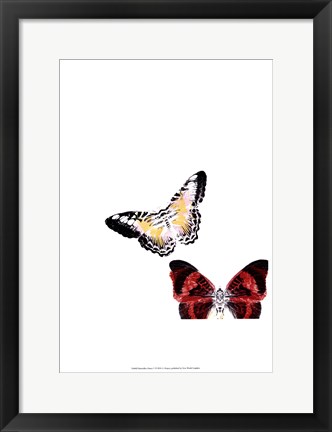 Framed Butterflies Dance V Print