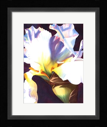 Framed Blue Iris I Print