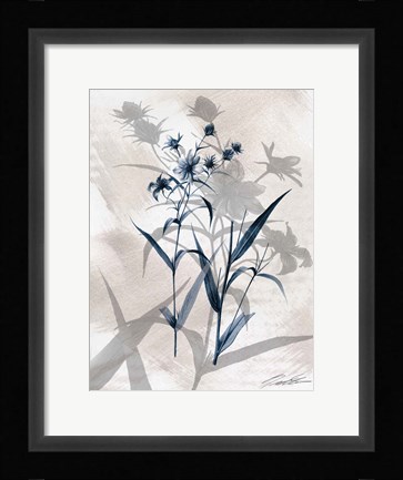 Framed Indigo Bloom IV Print