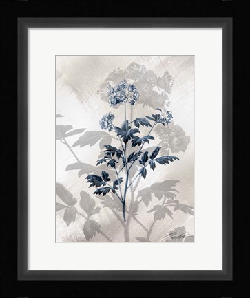 Framed Indigo Bloom II Print