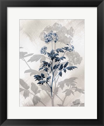 Framed Indigo Bloom II Print