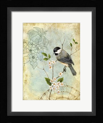 Framed Songbird Sketchbook II Print