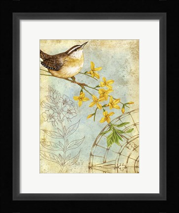 Framed Songbird Sketchbook I Print