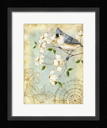 Framed Songbird Sketchbook IV Print