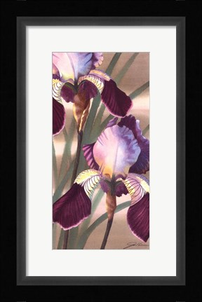 Framed Asian Iris II Print