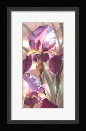 Framed Asian Iris I Print