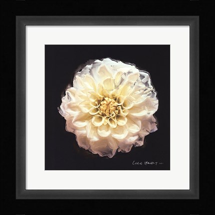 Framed Vibrant Flower V Print