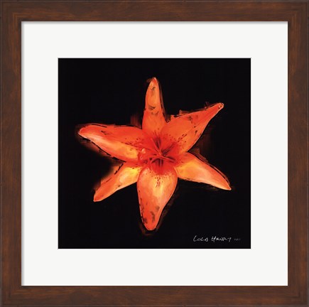 Framed Vibrant Flower VI Print