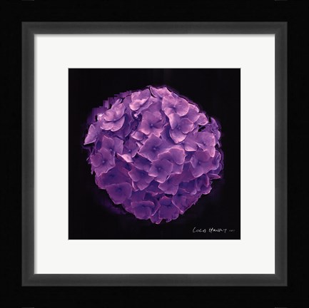 Framed Vibrant Flower I Print