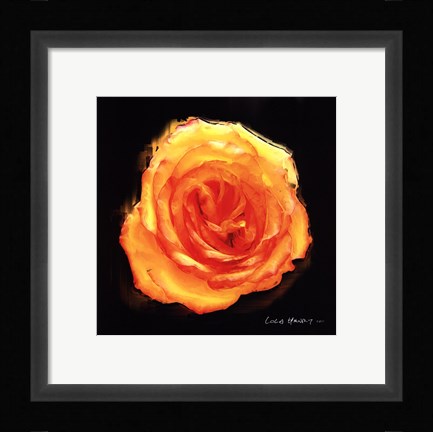Framed Vibrant Flower II Print