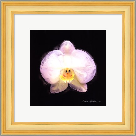 Framed Vibrant Flower IV Print
