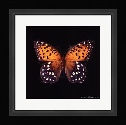 Framed Techno Butterfly IV Print