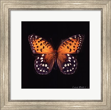 Framed Techno Butterfly IV Print