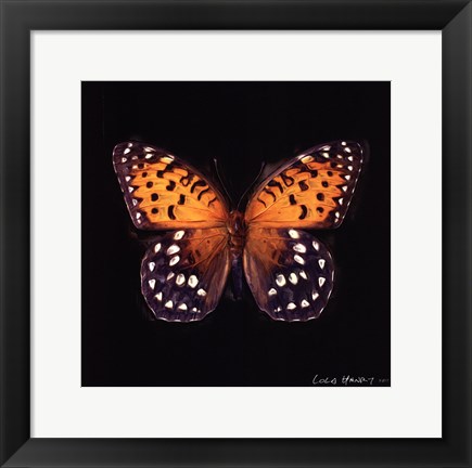 Framed Techno Butterfly IV Print