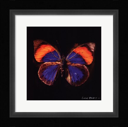 Framed Techno Butterfly III Print
