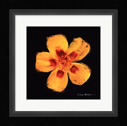 Framed Vibrant Flower X Print