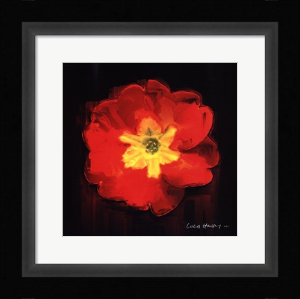 Framed Vibrant Flower IX Print