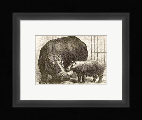 Framed Adhela and Guy Fawkes 1873 Print
