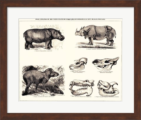 Framed Brockhaus and Efron Encyclopedic Dictionary Print