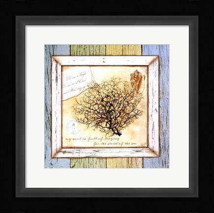 Framed Sea Treasures III Print