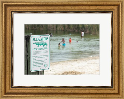 Framed Alligators warning sign at the lakeside, Florida, USA Print